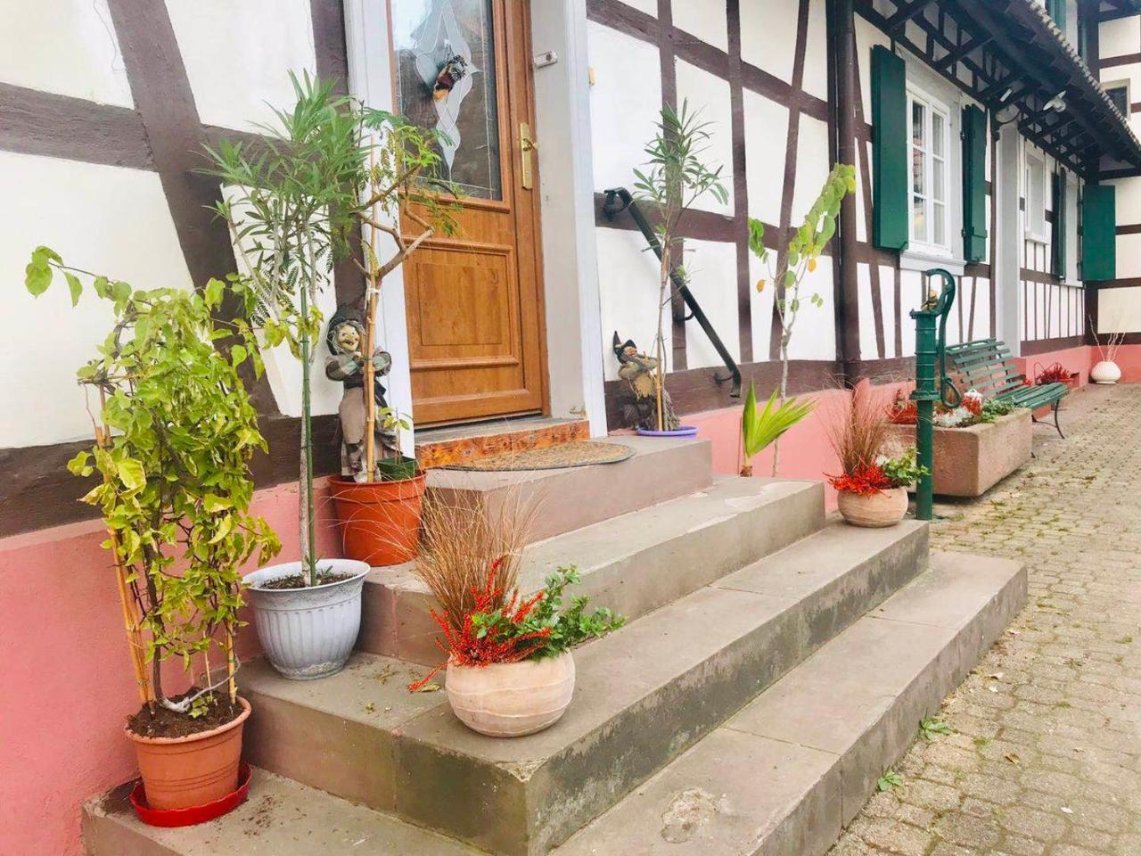 Appartement T3 Aux Deux Cigognes Gries Bagian luar foto